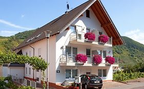 Ferienweingut Klaus Thiesen Gaestezimmer Und Apartments